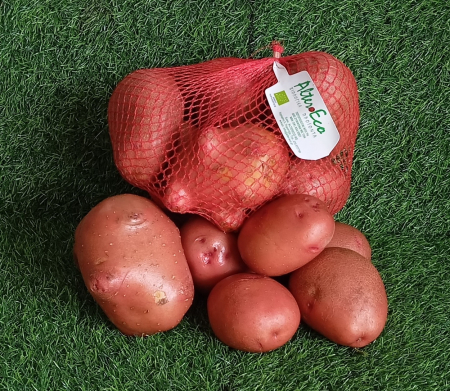 ΠΑΤΑΤΑ ΚΟΚΚΙΝΗ ΒΙΟΛΟΓΙΚΗ